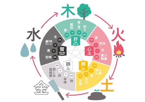 五行健康|五行説の概要と人体との関係 